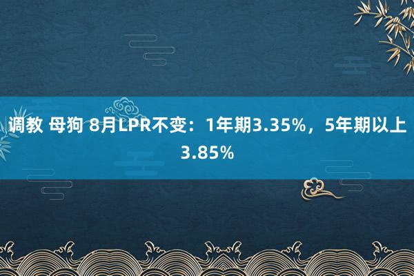 调教 母狗 8月LPR不变：1年期3.35%，5年期以上3.85%