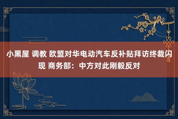 小黑屋 调教 欧盟对华电动汽车反补贴拜访终裁闪现 商务部：中方对此刚毅反对