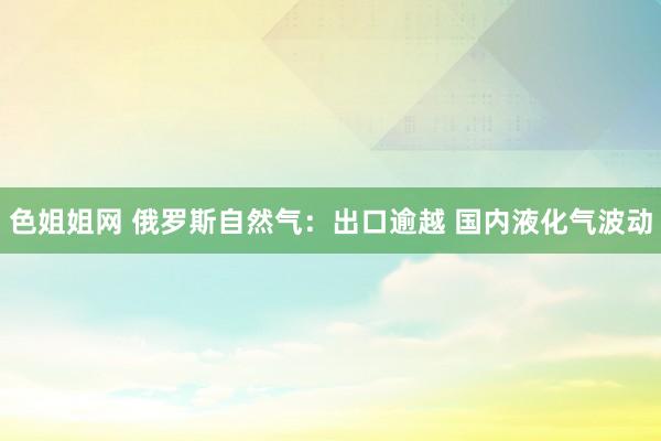 色姐姐网 俄罗斯自然气：出口逾越 国内液化气波动