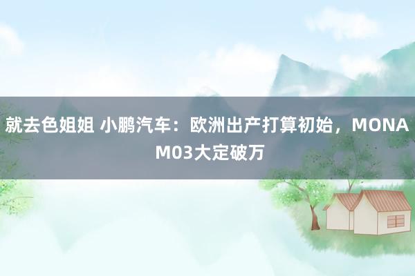 就去色姐姐 小鹏汽车：欧洲出产打算初始，MONA M03大定破万