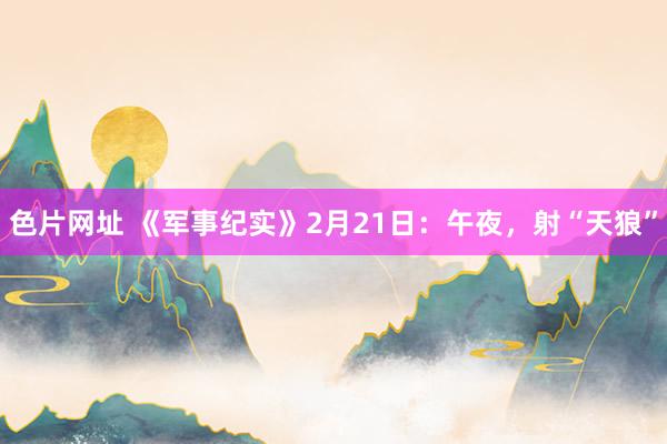 色片网址 《军事纪实》2月21日：午夜，射“天狼”